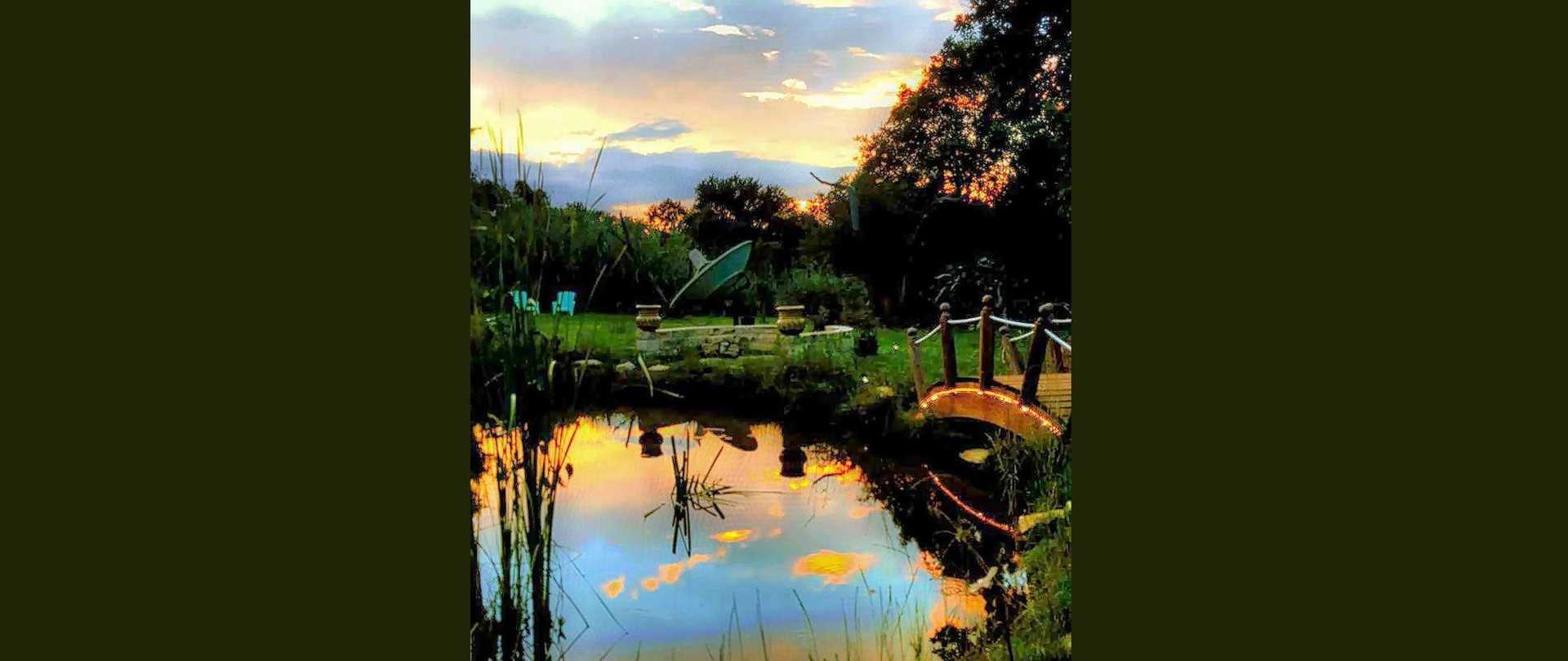 Pond_03