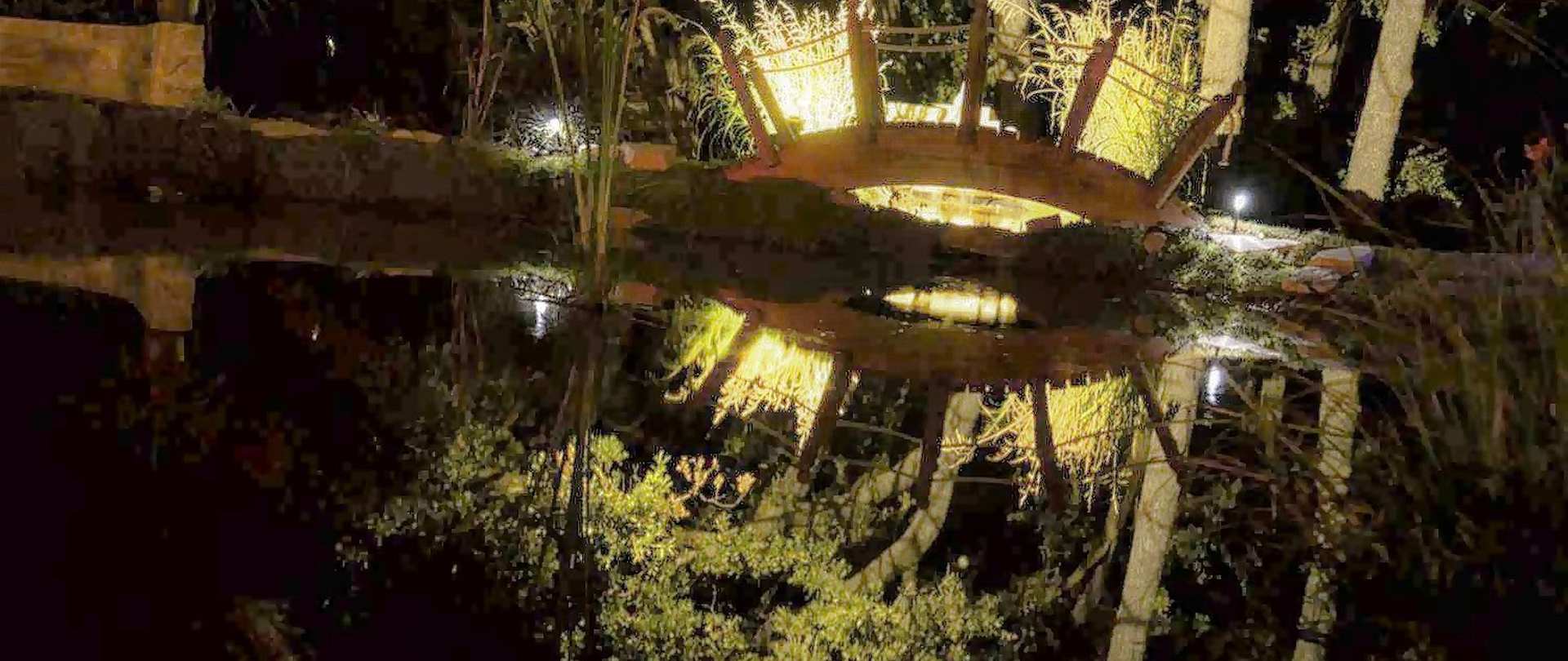 Pond_07