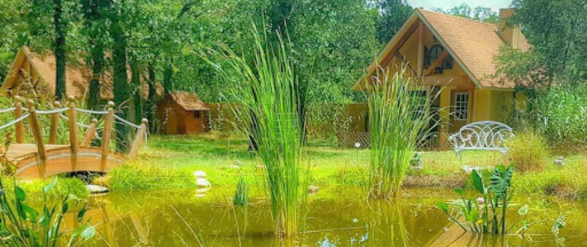 Pond_10
